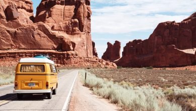 Trip To Yellow Stone National Park