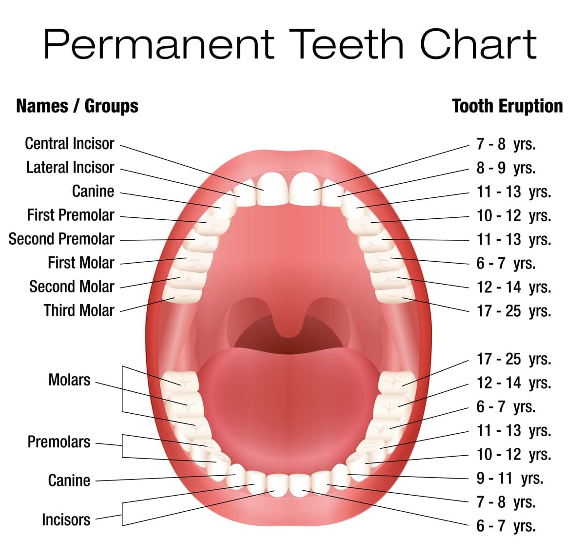 Causes Of Delayed Permanent Tooth Eruption