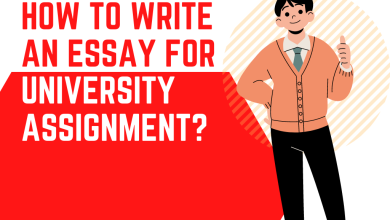 essay assignment help