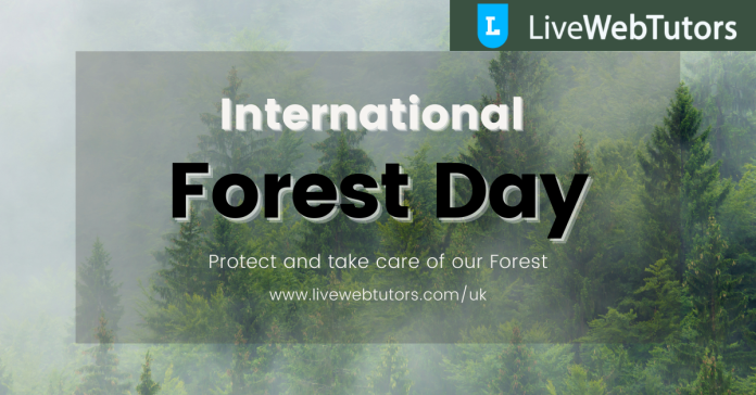 world forest day essay in english