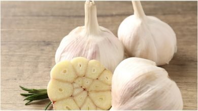 Health Benefit of Garlic