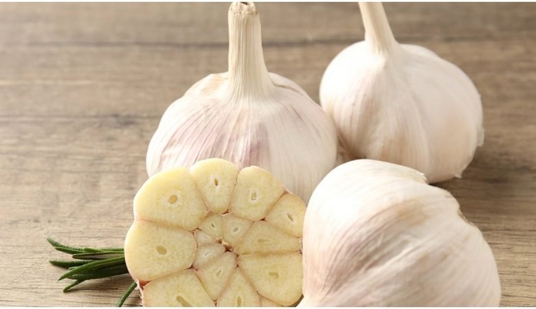 Health Benefit of Garlic