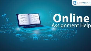 Online Assignment Help