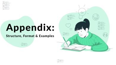 The Full Guide on Writing an Appendix: Structure, Format & Examples