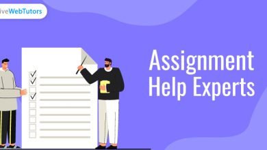 How Do Assignments Help Experts Assist in Completing Projects on Time?