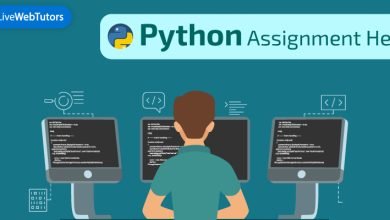 online Python Assignment Help