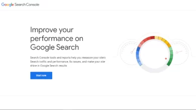 Search Engine Ranking