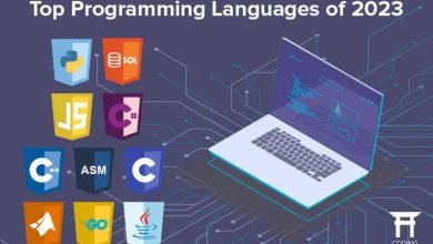 10 Highest Paying Programming Languages in 2023