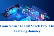 From Novice to Full Stack Pro: The Learning Journey