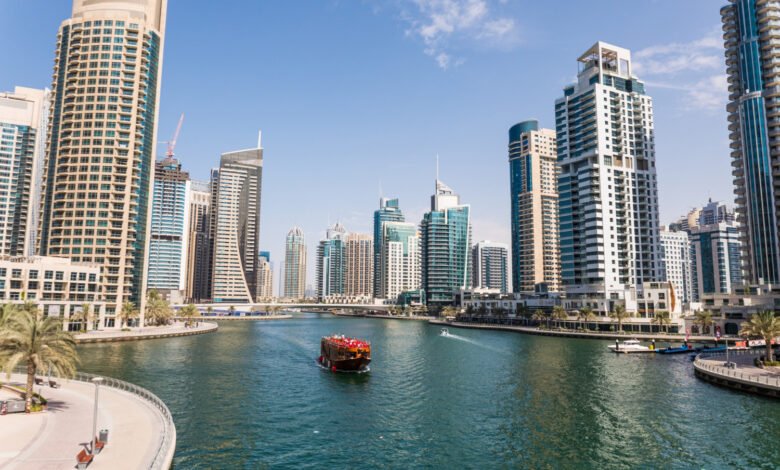 the best insurance companies in Dubai