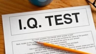 What does IQ measure?